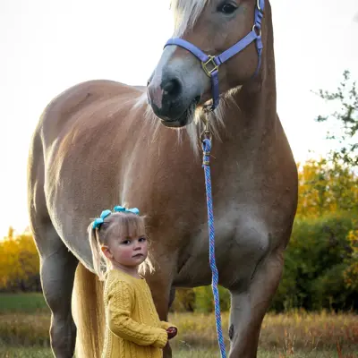 Image of Girl and Horse 