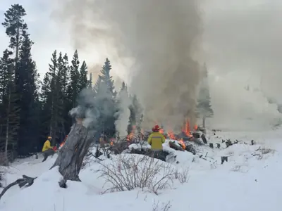 Image of Winter Burn Pile