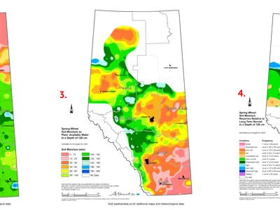 Image of Moisture Maps of Alberta