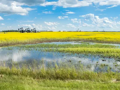 Image of Field with Flooding and Oil Rigs