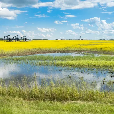 Image of Field with Flooding and Oil Rigs