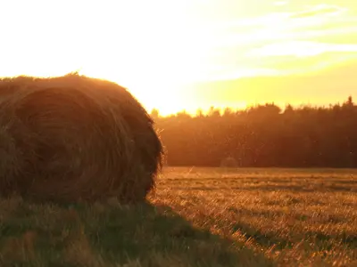 Image of Hay Bale at Sunrise