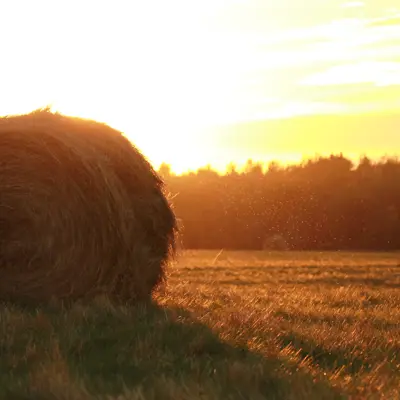 Image of Hay Bale at Sunrise