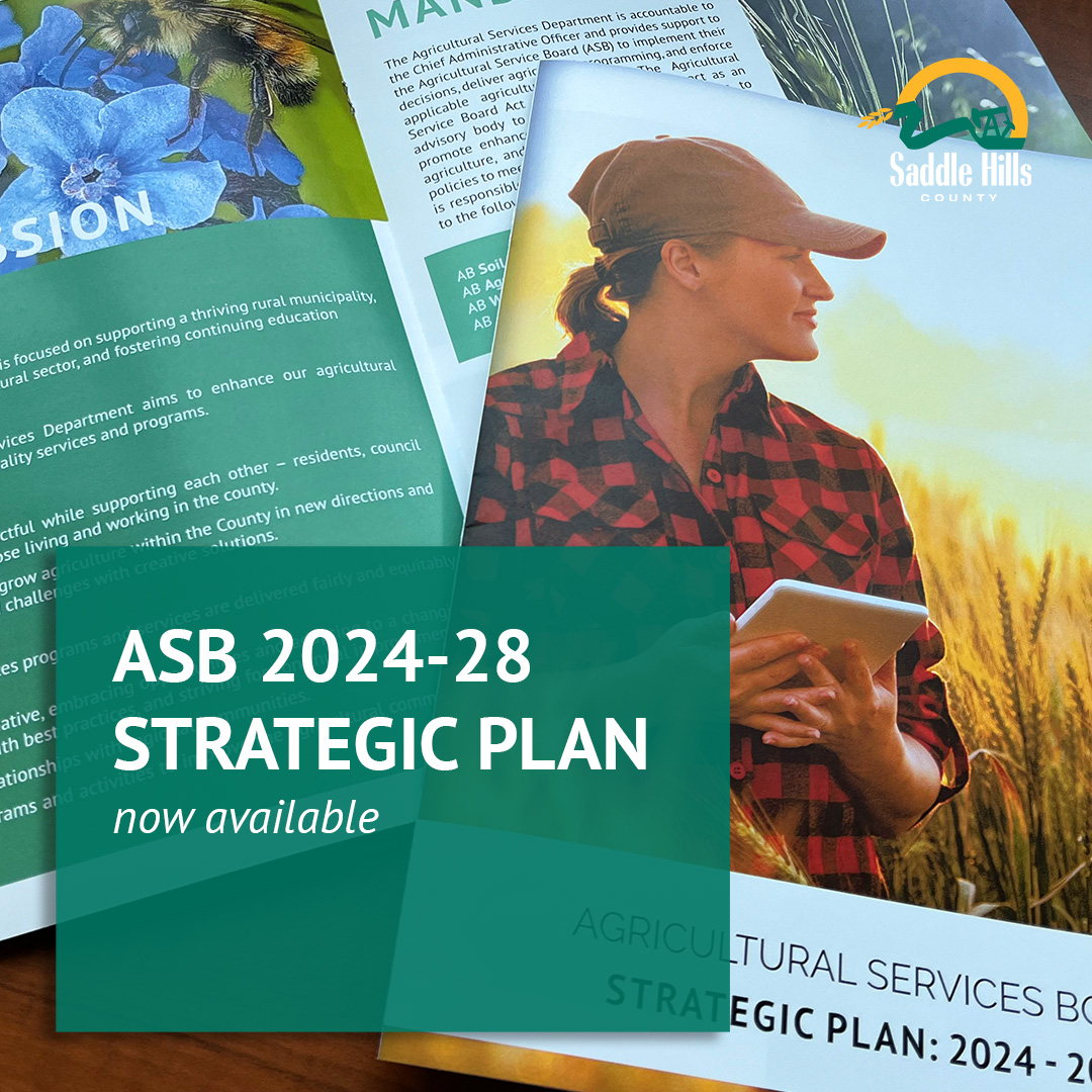 Image of ASB Strategic Plan (2024-2028) Now Available