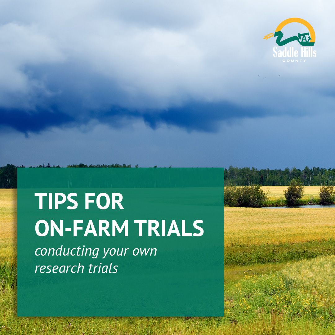 Image of Tips for Conducting Your Own On-Farm Trials