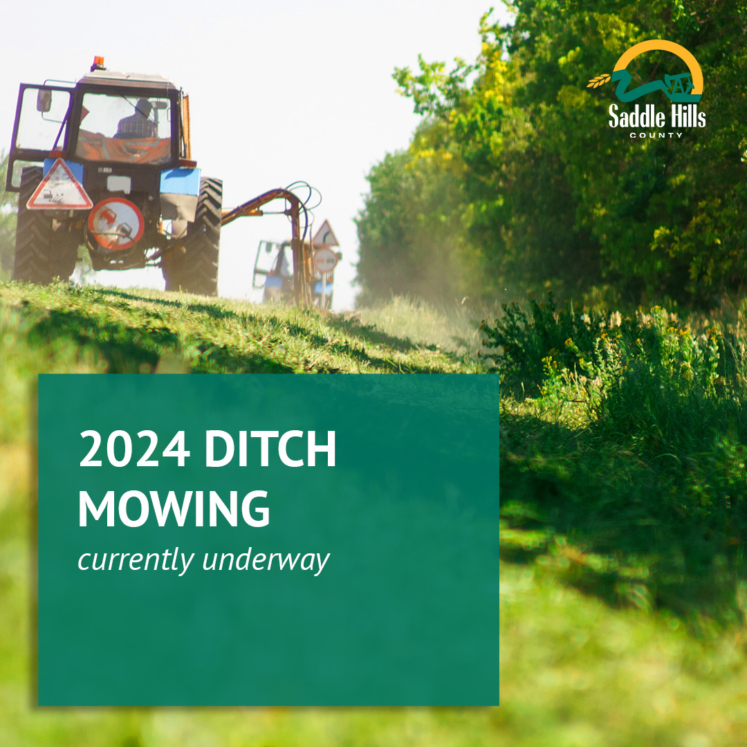 Image of Annual Ditch Mowing Underway