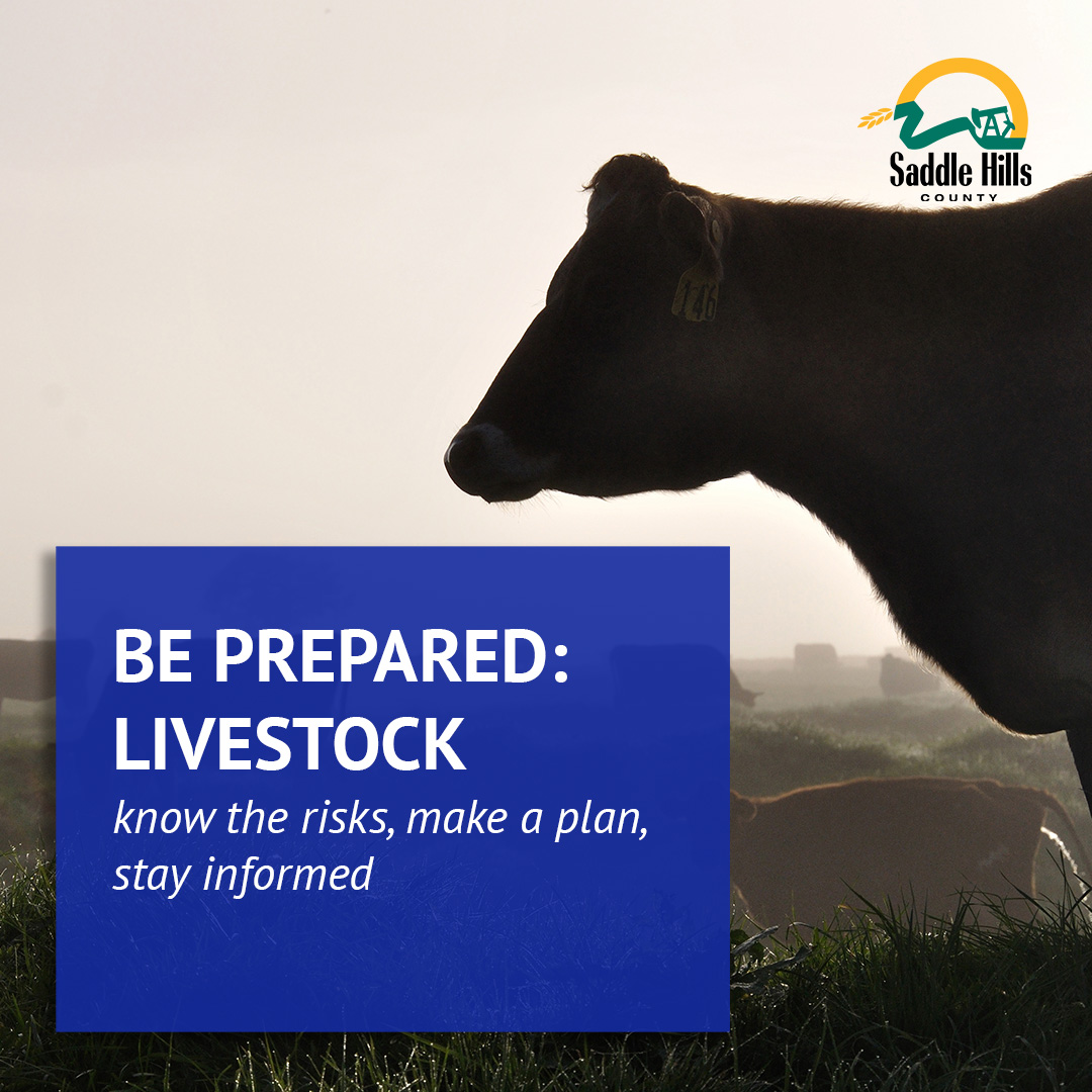 Image of Prompting Preparedness: Farm Animals and Livestock