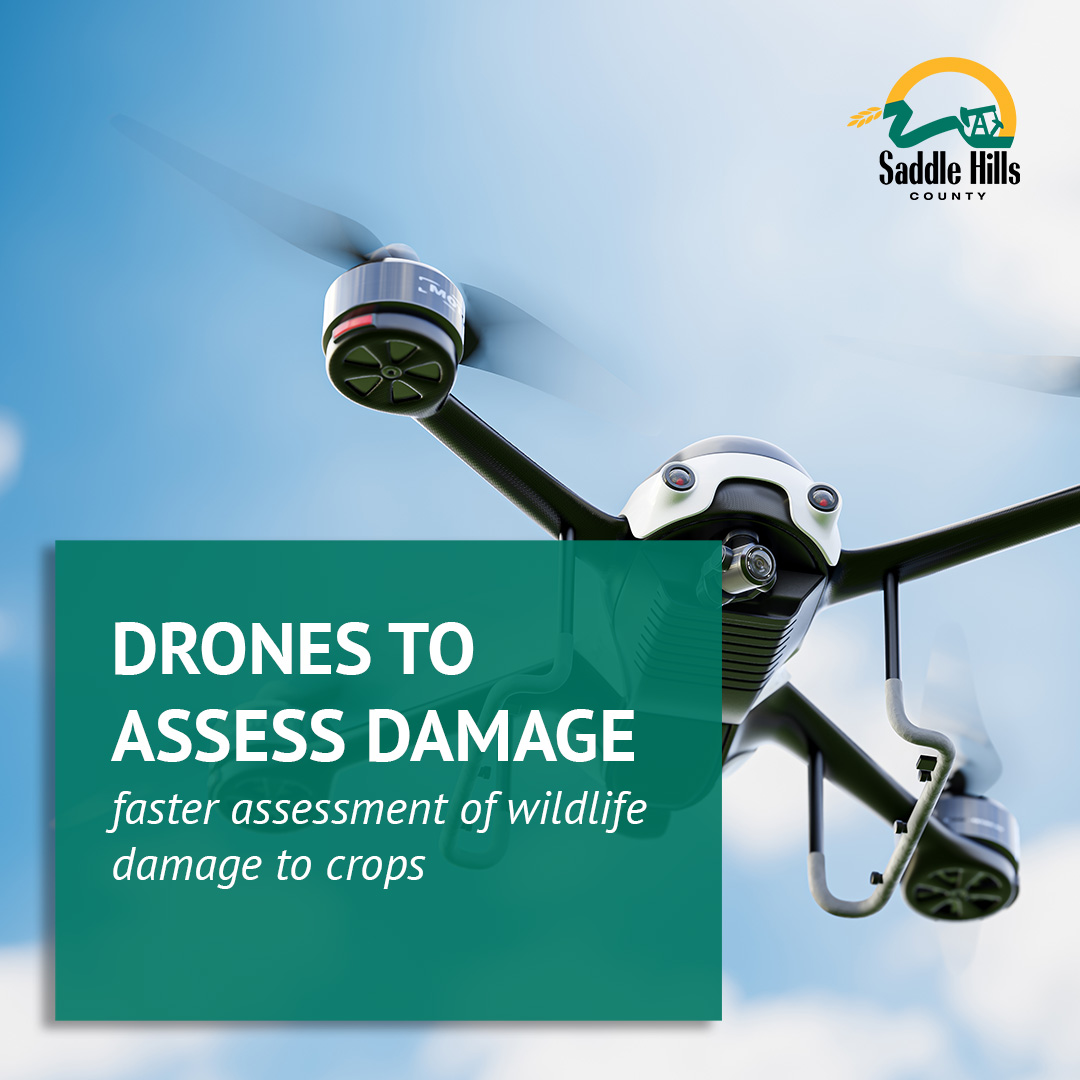 Image of Drone Technology to Assess Wildlife Damage to Crops