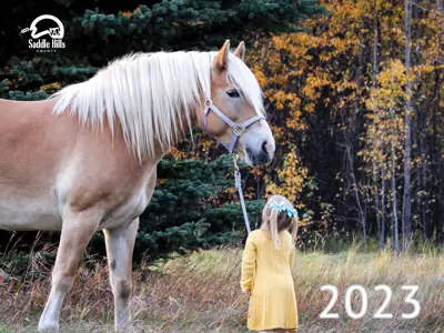 Image of Girl and Horse