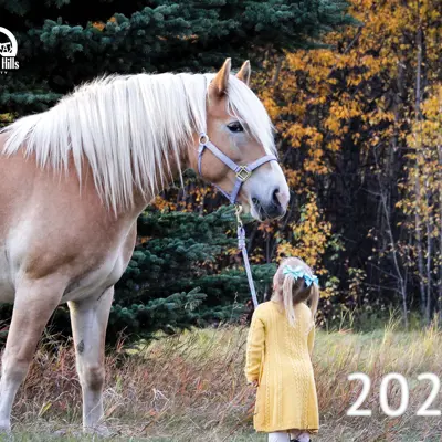 Image of Girl and Horse