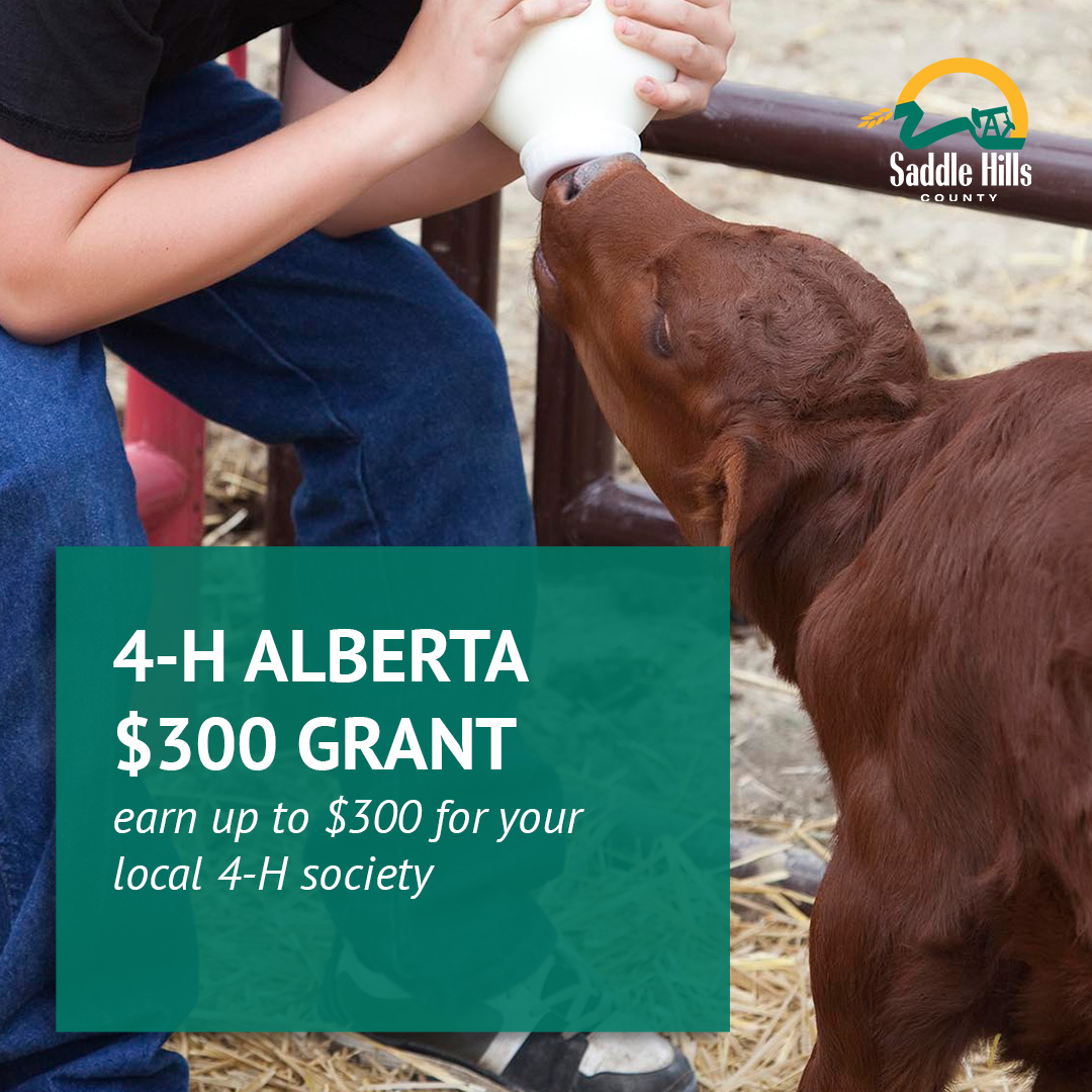 Image of Earn up to $300 for your local 4-H Society