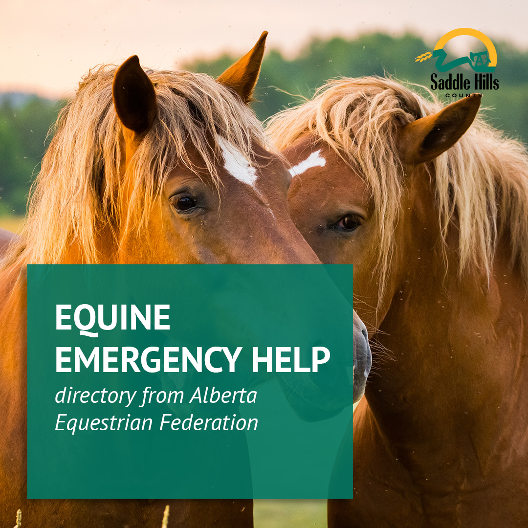 Image of Equine Emergency Preparedness