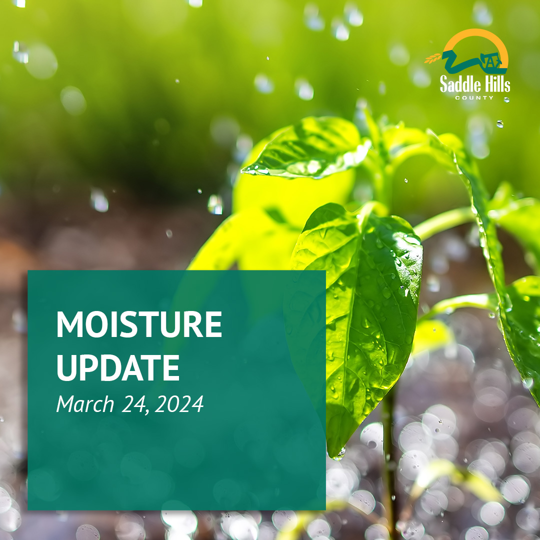 Image of Moisture Update - March 24, 2024