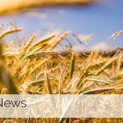 Image of Agriculture News